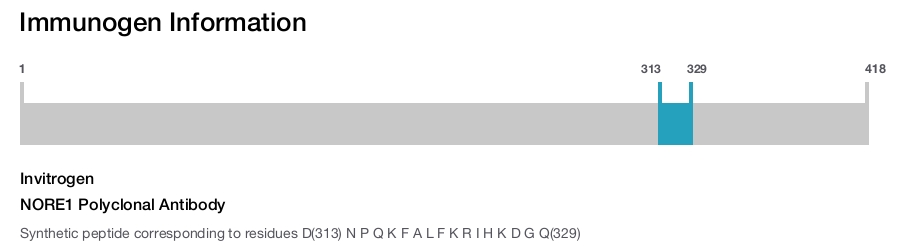 NORE1 Polyclonal Antibody