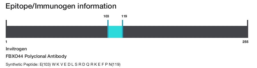 FBXO44 Polyclonal Antibody