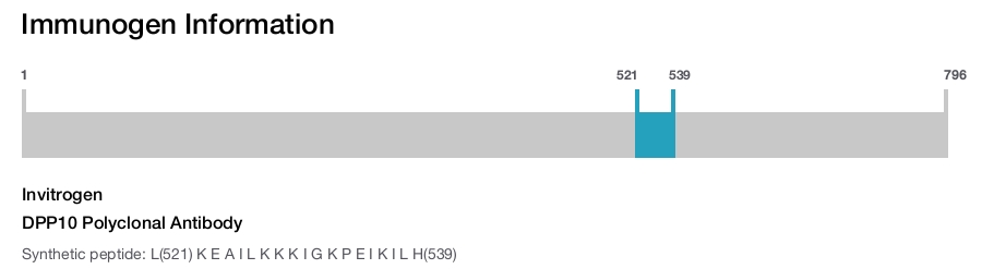 DPP10 Polyclonal Antibody