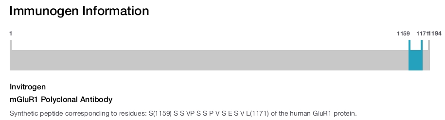 mGluR1 Polyclonal Antibody