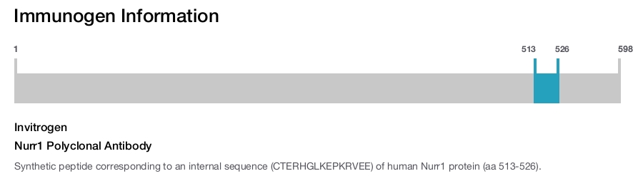 Nurr1 Polyclonal Antibody