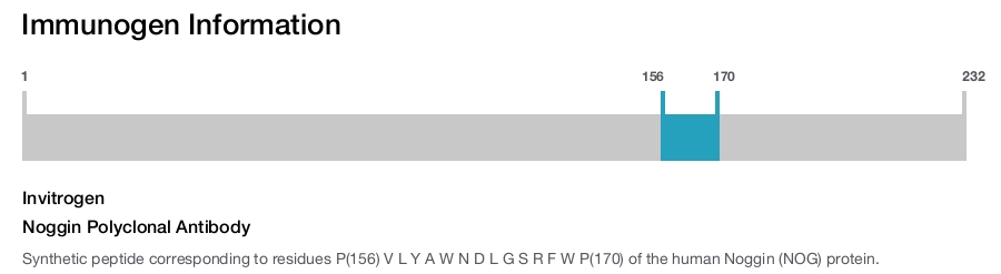 Noggin Polyclonal Antibody