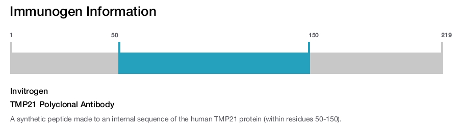 TMP21 Polyclonal Antibody