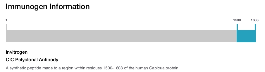 CIC Polyclonal Antibody