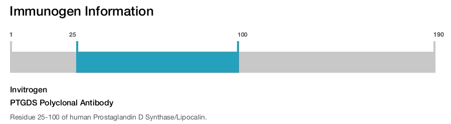 PTGDS Polyclonal Antibody