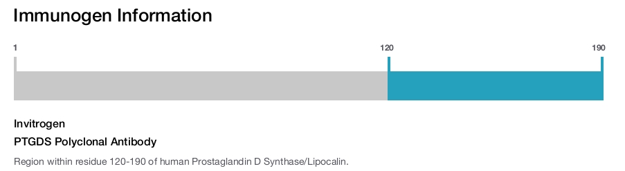 PTGDS Polyclonal Antibody