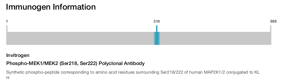 Phospho-MEK1/MEK2 (Ser218, Ser222) Polyclonal Antibody