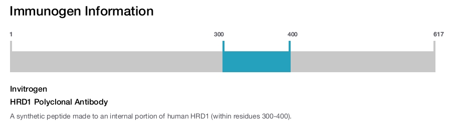 HRD1 Polyclonal Antibody
