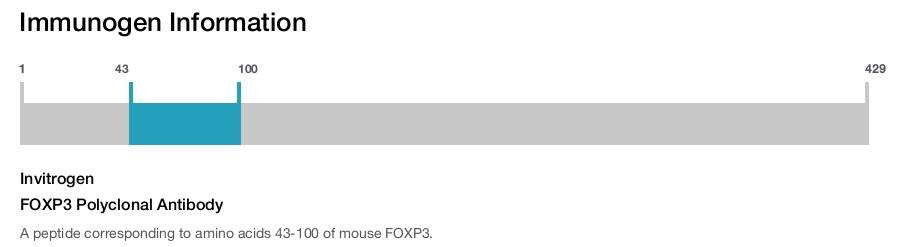 FOXP3 Polyclonal Antibody