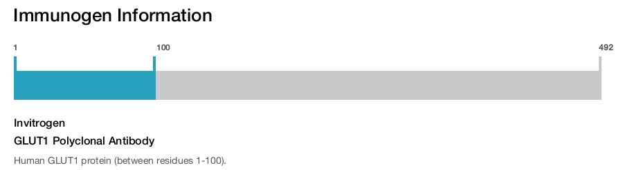 GLUT1 Polyclonal Antibody