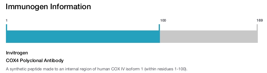 COX4 Polyclonal Antibody