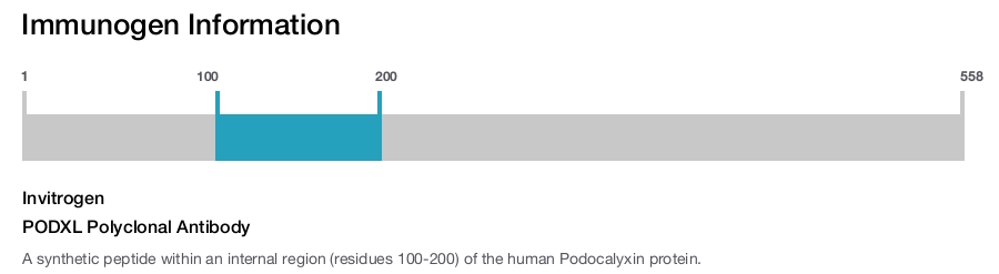 PODXL Polyclonal Antibody