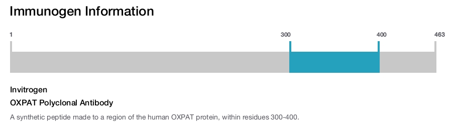 OXPAT Polyclonal Antibody
