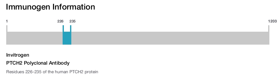 PTCH2 Polyclonal Antibody