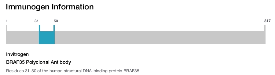 BRAF35 Polyclonal Antibody
