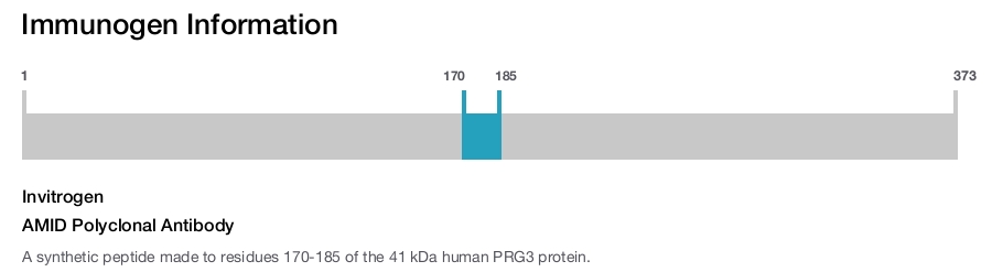 AMID Polyclonal Antibody
