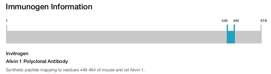 Alivin 1 Polyclonal Antibody