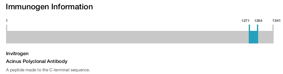 Acinus Polyclonal Antibody