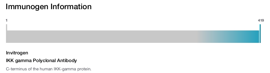 IKK gamma Polyclonal Antibody