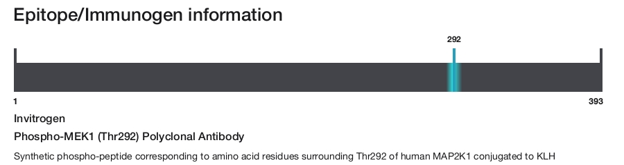 Phospho-MEK1 (Thr292) Polyclonal Antibody