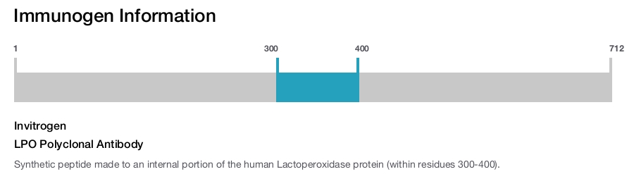 LPO Polyclonal Antibody
