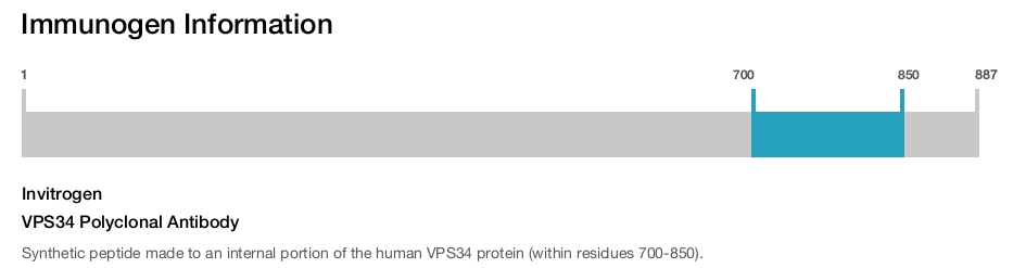 VPS34 Polyclonal Antibody