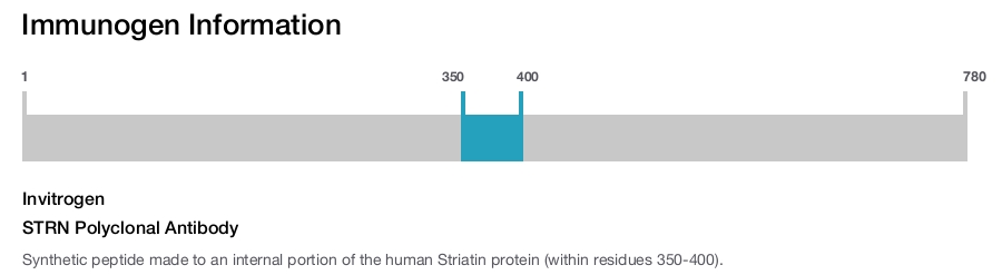 STRN Polyclonal Antibody