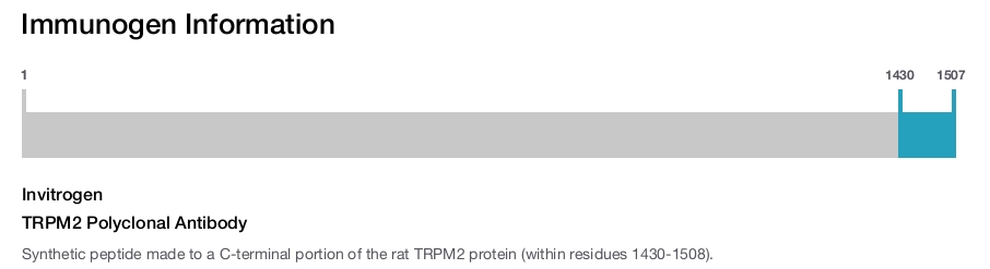 TRPM2 Polyclonal Antibody