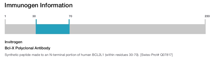 Bcl-X Polyclonal Antibody