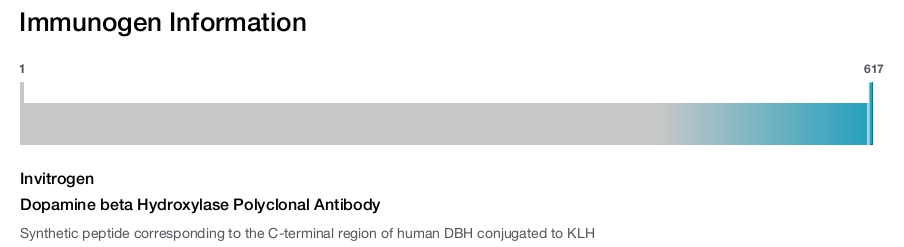 Dopamine beta Hydroxylase Polyclonal Antibody