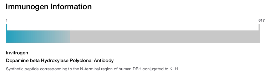 Dopamine beta Hydroxylase Polyclonal Antibody