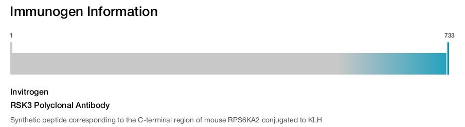 RSK3 Polyclonal Antibody