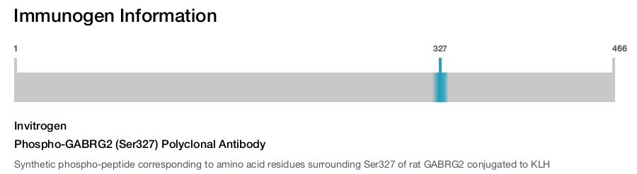 Phospho-GABRG2 (Ser327) Polyclonal Antibody