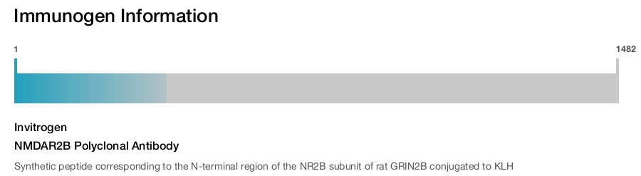 NMDAR2B Polyclonal Antibody