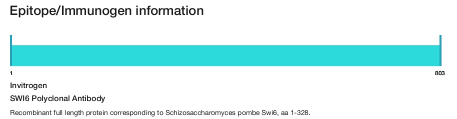 SWI6 Polyclonal Antibody