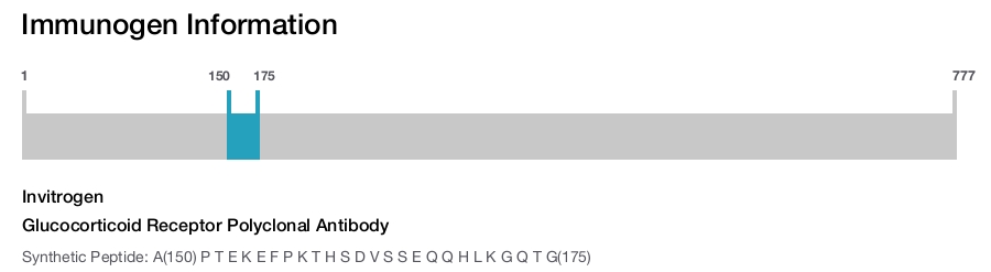 Glucocorticoid Receptor Polyclonal Antibody