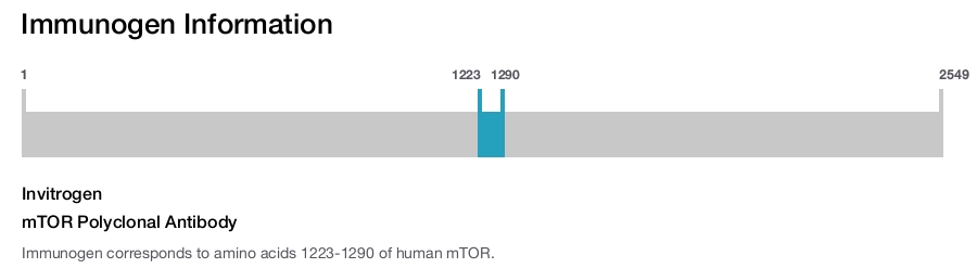 mTOR Polyclonal Antibody