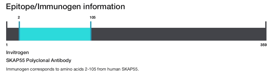 SKAP55 Polyclonal Antibody