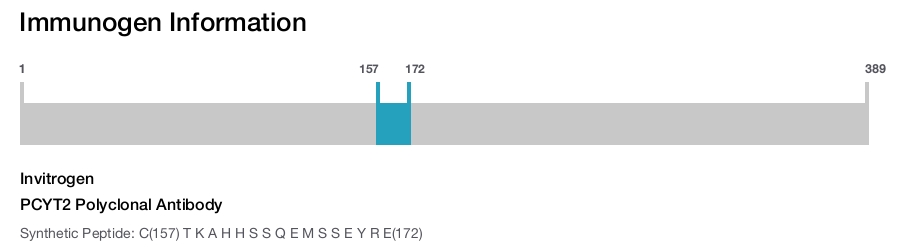 PCYT2 Polyclonal Antibody
