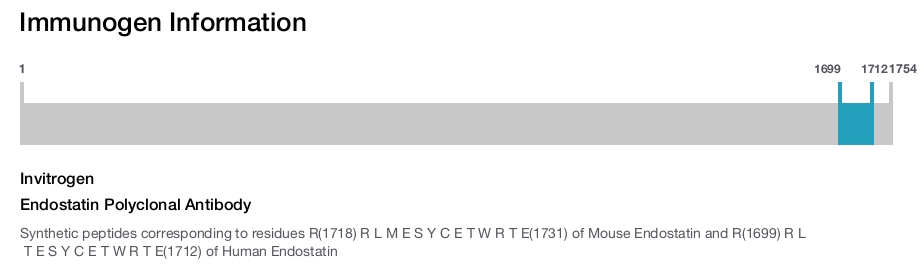 Endostatin Polyclonal Antibody