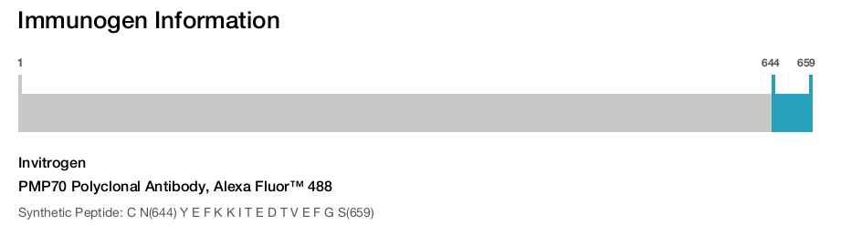 PMP70 Polyclonal Antibody, Alexa Fluor™ 488