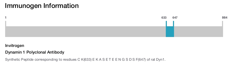 Dynamin 1 Polyclonal Antibody