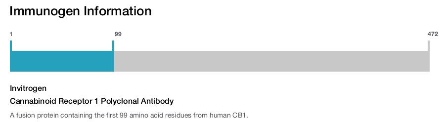 Cannabinoid Receptor 1 Polyclonal Antibody
