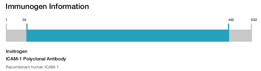 ICAM-1 Polyclonal Antibody