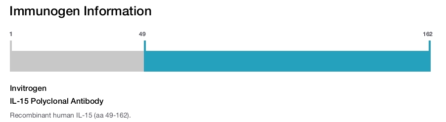 IL-15 Polyclonal Antibody