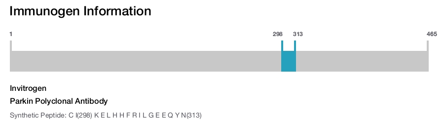 Parkin Polyclonal Antibody