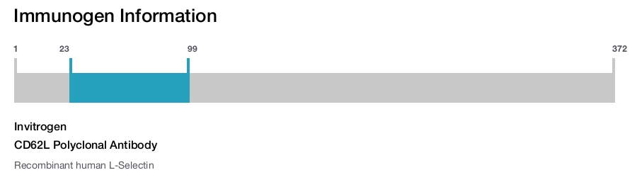 CD62L Polyclonal Antibody