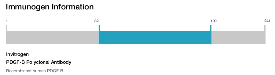 PDGF-B Polyclonal Antibody