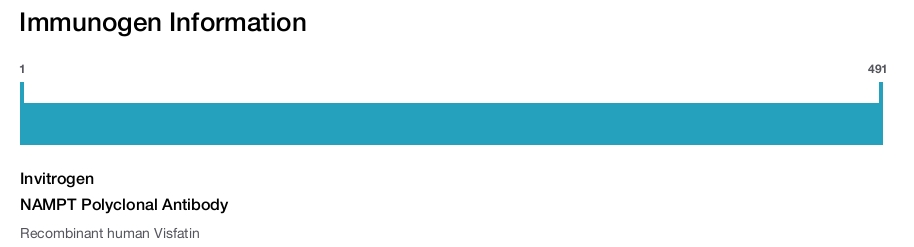 NAMPT Polyclonal Antibody