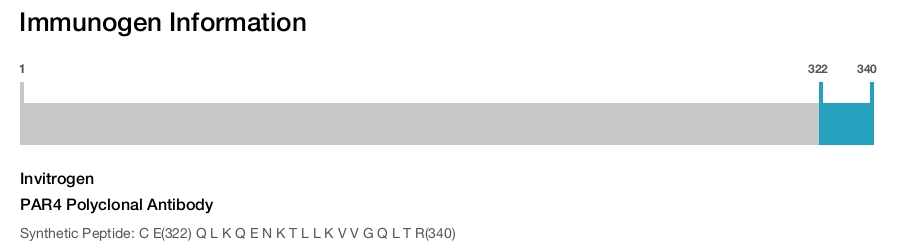 PAR4 Polyclonal Antibody